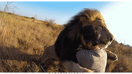 2.gif